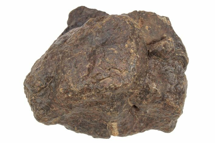 Chondrite Meteorite ( grams) - Western Sahara Desert #233185
